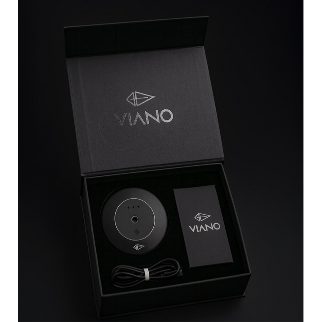 Type 01 Car Diffuser Set