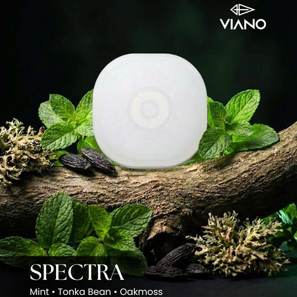 Type 01 Car Diffuser Set