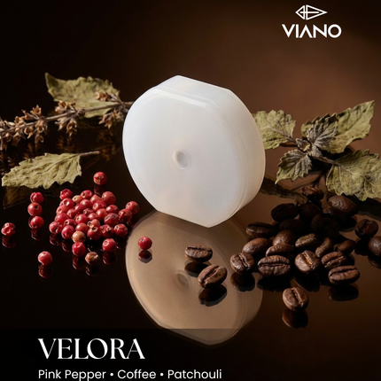 Velora | Inspired by Black Opium