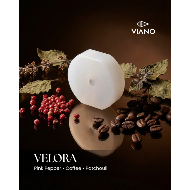 Velora | Inspired by Black Opium
