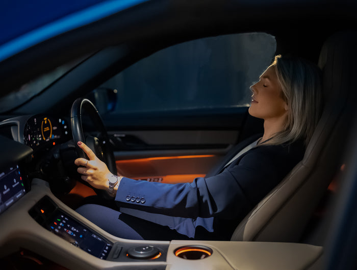 <h2>Luxury Automotive Technology</h2>